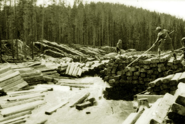 Image result for old wyoming logging photos