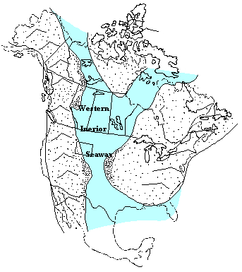 Oil Camps